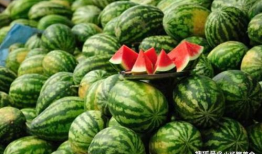 速看天气718吃瓜爆料,揭秘娱乐圈最新热点事件